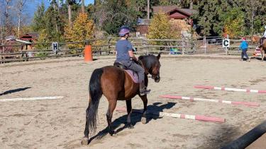 Therapeutic Riding