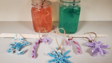 two jars with coloured water and 5 pipecleaner crystal science projects displayed in front